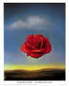meditative rose 1958 s. dali.jpg (19180 bytes)