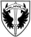 Task Force Valkyrie.jpg (186074 bytes)