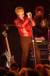 bowie.jpg (35957 bytes)